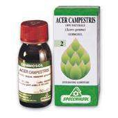 Acero