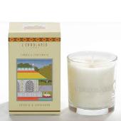 Candela  arancio & cardamomo
