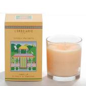 Candela cannella & foglie di garofano