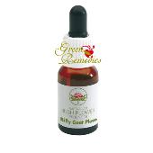 Billy Goat Plum