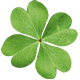 logo erboristeria quadrifoglio viareggio