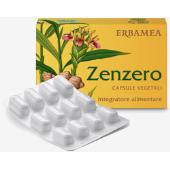 Zenzero