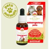 Emergency pets