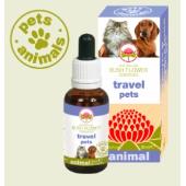 Travel pets