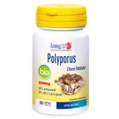 Polyporus Bio (Chorei Maitake)