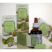 Estratto idroalcolico di Erisimo