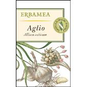 Aglio