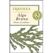 Alga bruna