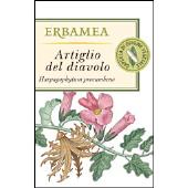 Artiglio del diavolo
