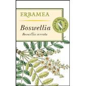 Boswellia