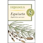 Equiseto