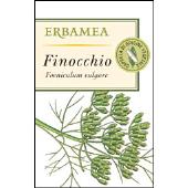 Finocchio