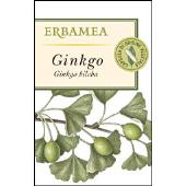 Ginkgo