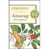 Ginseng