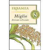 Miglio