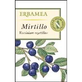 Mirtillo