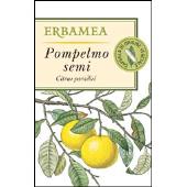 Pompelmo