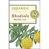 Rhodiola