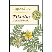Tribulus