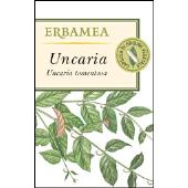 Uncaria