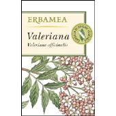 Valeriana