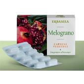 Melograno