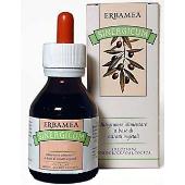 Sinergicum Echinacea