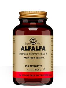 Alfalfa
