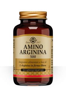 Amino Arginina 500