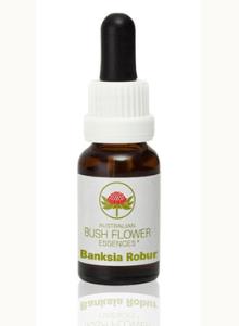 Banskia Robur