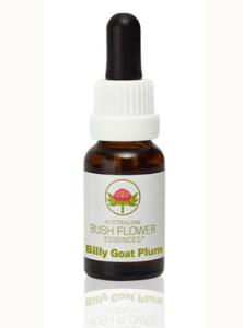 Billy Goat Plum
