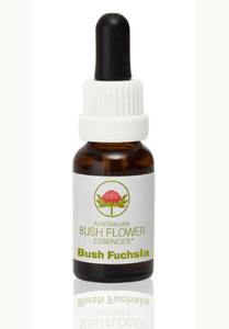 Bush Fuchsia