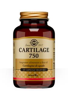 Cartilage 750