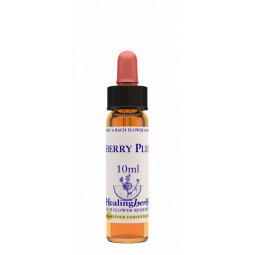 Cherry Plum