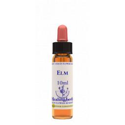Elm