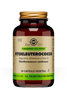 Fitoeleuterococco