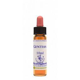 Gentian