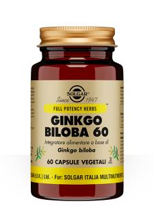 Gingko Biloba 60