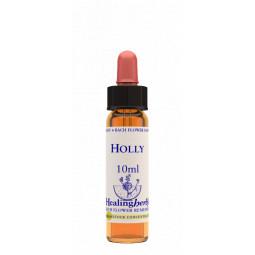 Holly