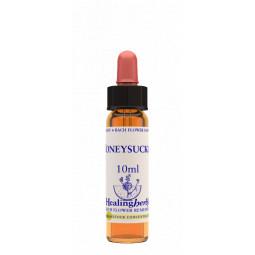 Honeysuckle
