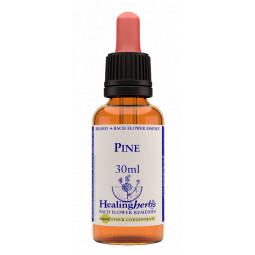 Pine