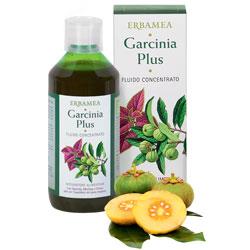 Plus Fluido Concentrato