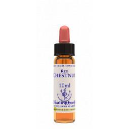 Red Chestnut