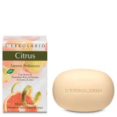 Sapone