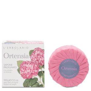 Sapone