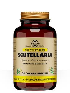 Scutellaria