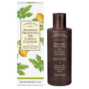 Shampoo