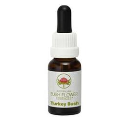 Turkey Bush