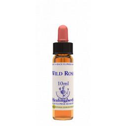 Wild Rose
